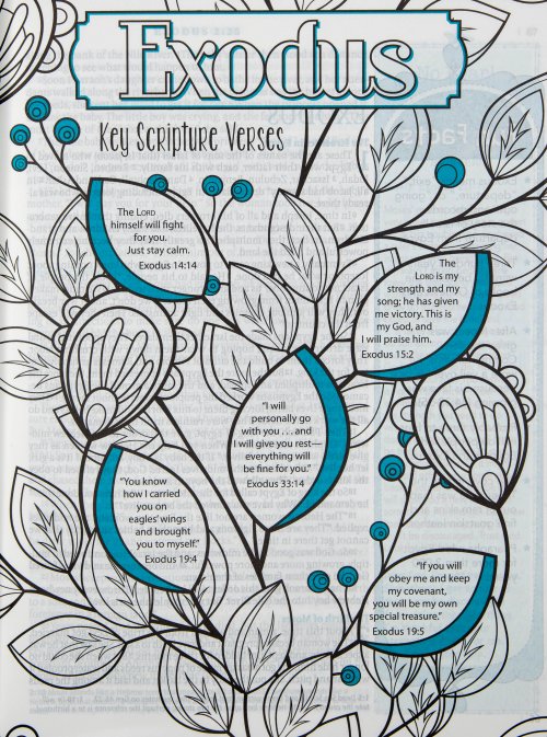 NLT Inspire Bible For Girls, Paperback