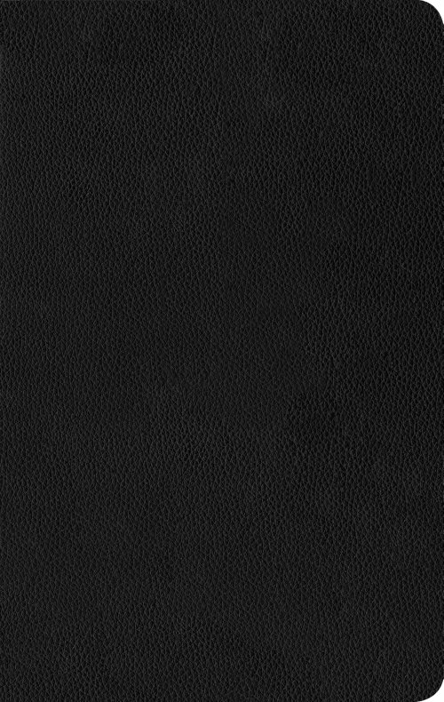NLT Thinline Reference Bible, Filament Enabled (Genuine Leather, Black)