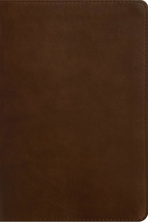 NLT Personal Size Giant Print Bible, Filament Enabled (LeatherLike, Rustic Brown, Red Letter)