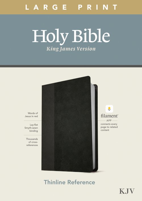 KJV Large Print Thinline Reference Bible, Filament Enabled (LeatherLike, Black/Onyx, Red Letter)