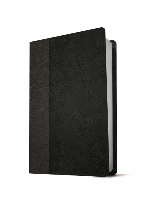 KJV Large Print Thinline Reference Bible, Filament Enabled (LeatherLike, Black/Onyx, Red Letter)
