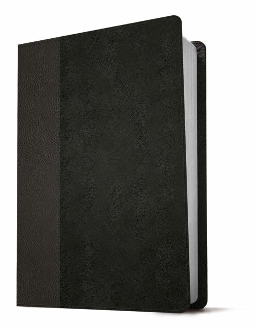 KJV Personal Size Giant Print Bible, Filament Enabled (LeatherLike, Black/Onyx, Red Letter)
