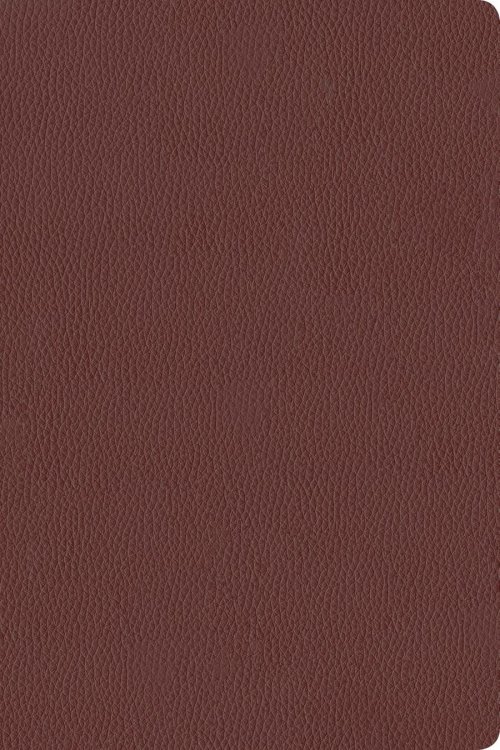 KJV Personal Size Giant Print Bible, Filament Enabled (Genuine Leather, Burgundy, Indexed, Red Letter)