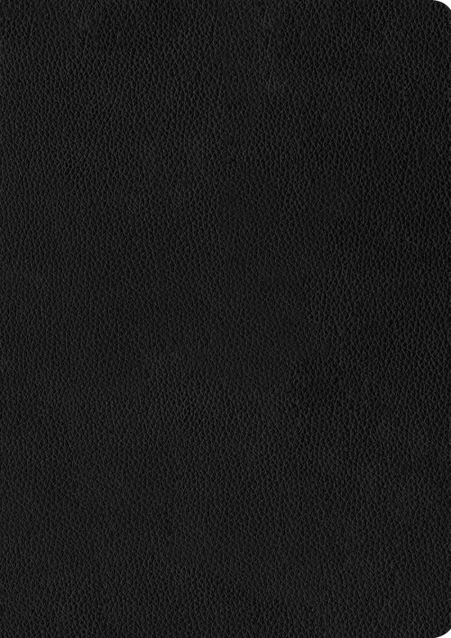 NIV Every Man's Bible, Black, Genuine Leather, Large Print, Study Notes, Articles, Book Introductions, Biblical People Profiles, Advice from Christian Leaders