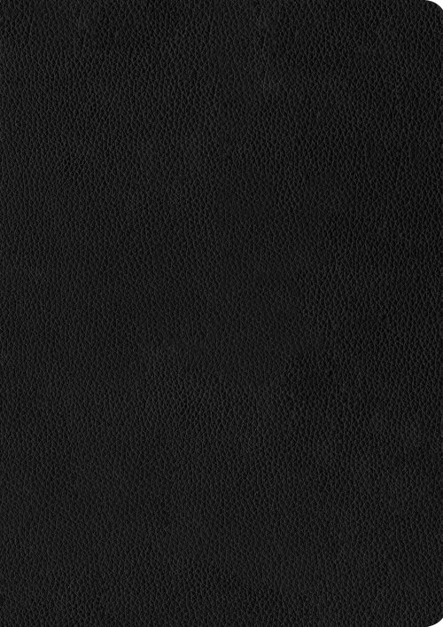 NIV Every Man's Bible, Black, Leather, Large Print, Thumb Indexed, Study Notes, Articles, Book Introductions, Biblical People Profiles, Advice from Christian Leaders