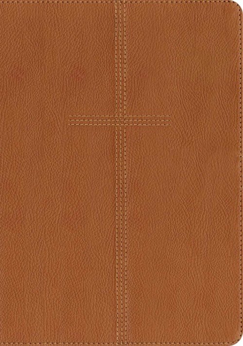 Every Man's Bible NIV, Large Print (LeatherLike, Cross Saddle Tan, Indexed)