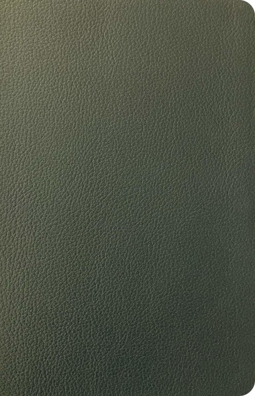 NLT Personal Size Giant Print Bible, Filament Enabled (Genuine Leather, Olive Green, Red Letter)