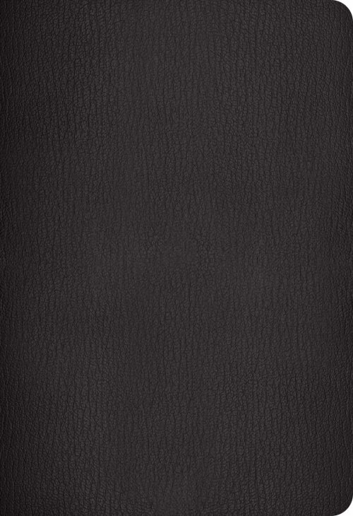 NLT Super Giant Print Bible, Filament Enabled (Genuine Leather, Black, Red Letter)
