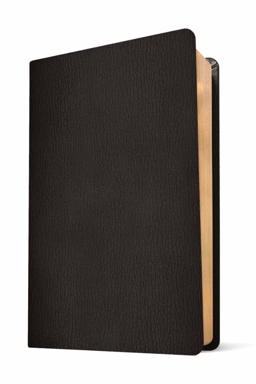 NLT Super Giant Print Bible, Filament Enabled (Genuine Leather, Black, Red Letter)