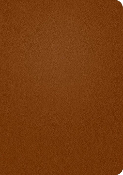 NLT Life Application Study Bible, Third Edition (Genuine Leather, Brown, Red Letter)