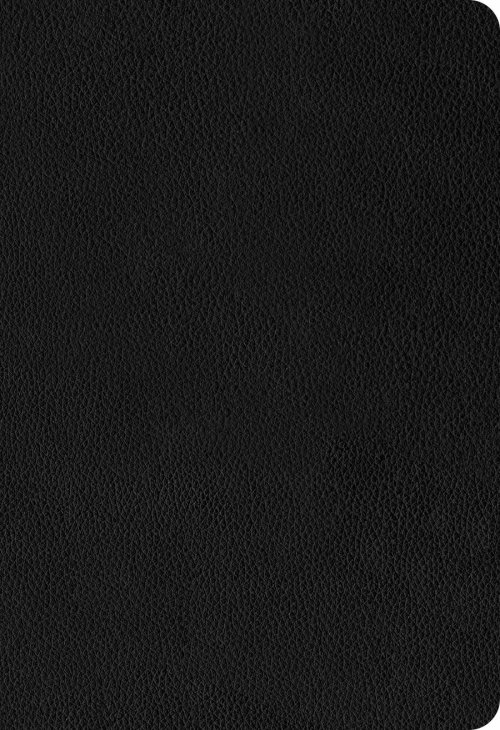 NLT Thinline Center-Column Reference Bible, Filament Enabled (Genuine Leather, Black, Red Letter)