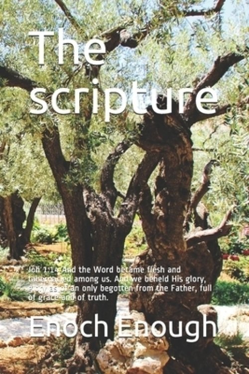 The scripture: Joh 1:14 And the Word became flesh and tabernacled among us. And we beheld His glory, glory as of an only begotten fro
