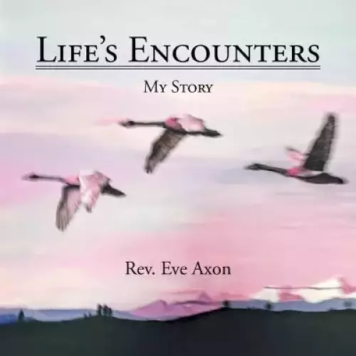 Life's Encounters: My Story