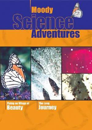 Flying On Wings & Long Journey: DVD