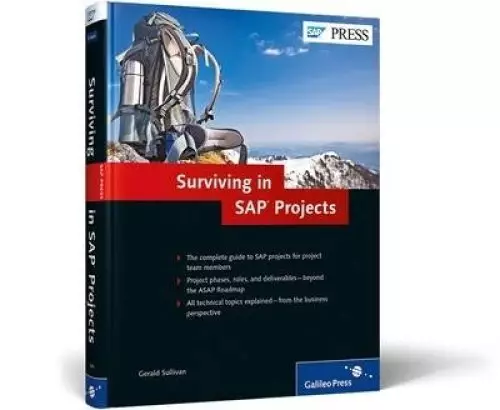 SURVIVING IN SAP PROJECTS