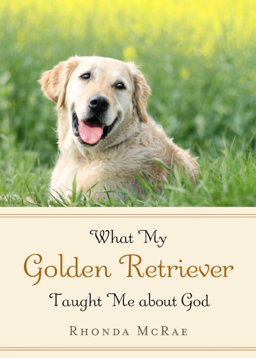 What My Golden Retriever