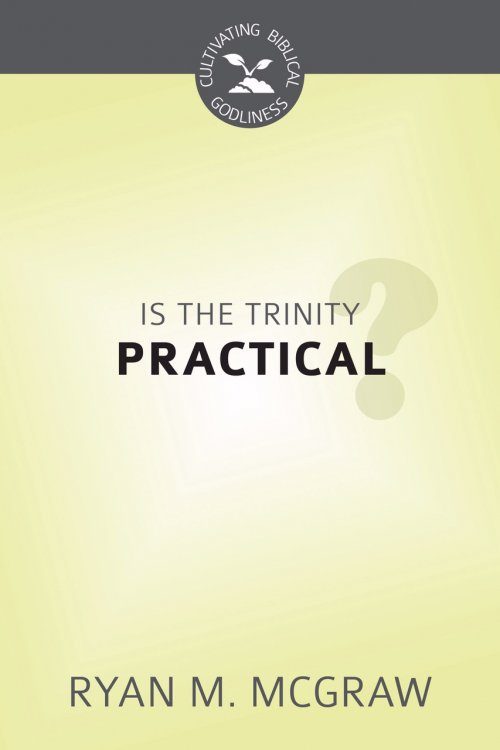 Is the Trinity Practical?