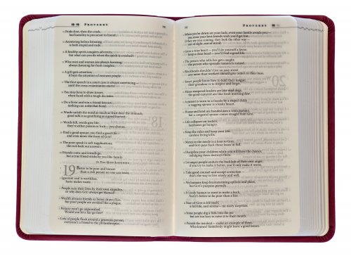 The Message Bible Compact, Bible, Pink, Imitation Leather, Durable Cover, Contemporary Language, Unique Verse-Numbering System