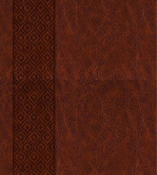KJV Expressions Bible