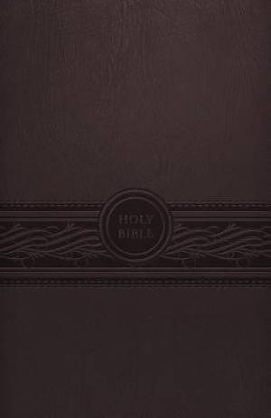 MEV Personal Size Large Print Bible