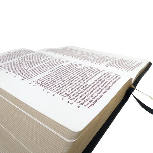 Legacy Standard Bible, Handy Size Paste-Down Black Cowhide Red Letter Indexed