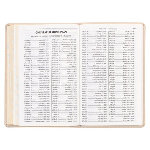 KJV Holy Bible, Standard Size Faux Leather Red Letter Edition - Thumb Index & Ribbon Marker, King James Version, Pearlescent Taupe