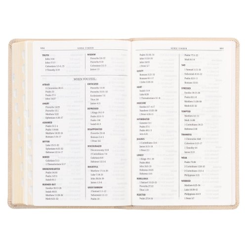 KJV Holy Bible, Standard Size Faux Leather Red Letter Edition - Thumb Index & Ribbon Marker, King James Version, Pearlescent Taupe