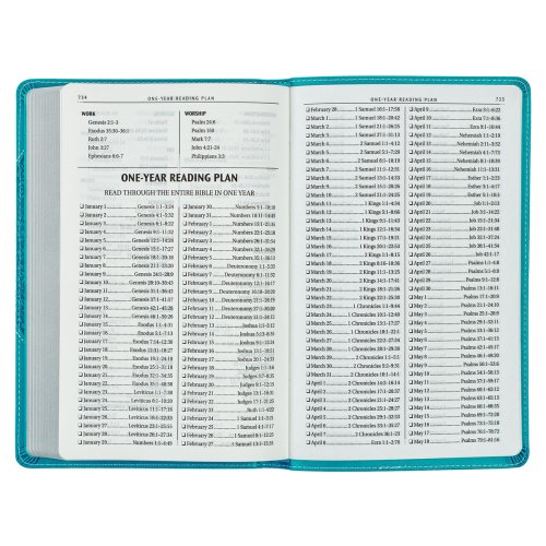 KJV Holy Bible, Gift Edition for Girls/Teens King James Version, Faux Leather Flexible Cover, Teal Butterfly