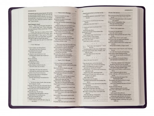 The Message Bible, Deluxe Gift Edition, Bible, Purple, Imitation Leather, Paraphrase, Presentation Page, Maps, Ribbon Marker