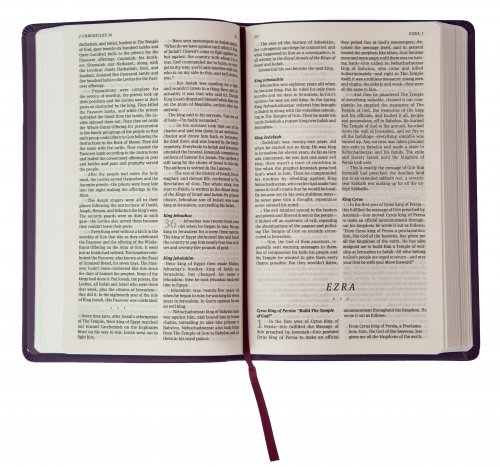 The Message Bible, Deluxe Gift Edition, Bible, Purple, Imitation Leather, Paraphrase, Presentation Page, Maps, Ribbon Marker
