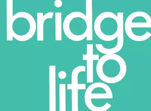 Bridge to Life (green) 25-pack