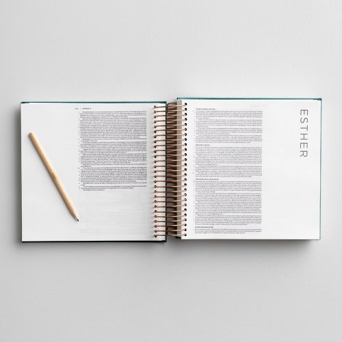 Illustrating Bible - CSB