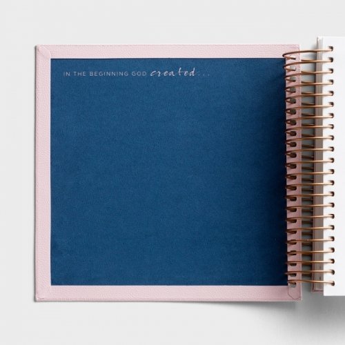 Illustrating Bible - NIV - Pink