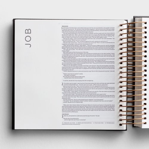 NIV Illustrating Bible, Dark Gray (Spiral Bound)
