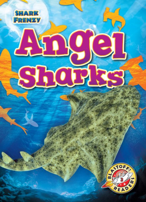 ANGEL SHARKS