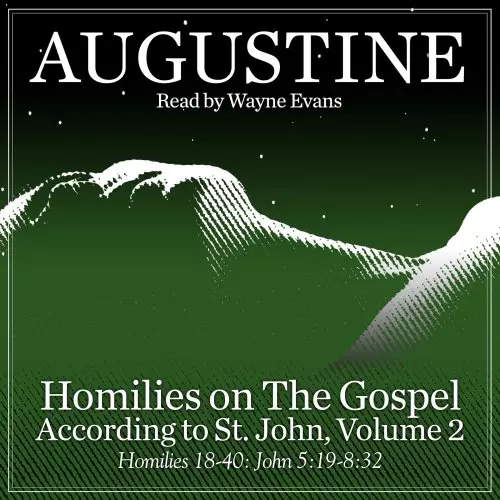 Homilies on the Gospel According to St. John Volume 2