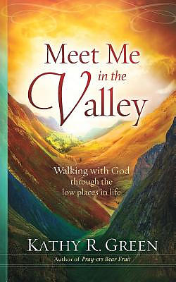 Meet Me in the Valley: Walking With God Through the Low Places in Life
