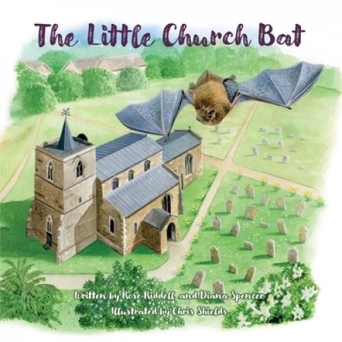 The Little Church Bat