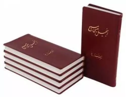 The New Testament in Persian, New Millennium Version - Single Copy
