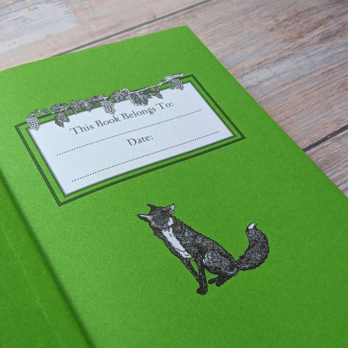 Bath Classics - Aesop's Fables (Illustrated Children's Classics)