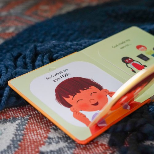 What Are Ears For? Board Book