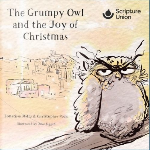 The Grumpy Owl and the Joy of Christmas (Pack of 10)