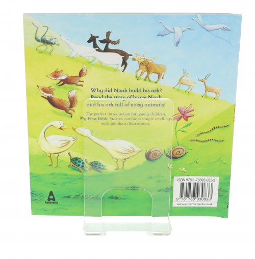 Noah's Ark