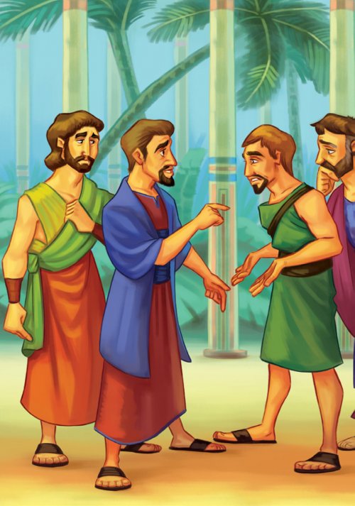 God's Amazing Plan Bible