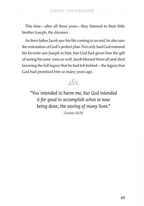 God's Amazing Plan Bible