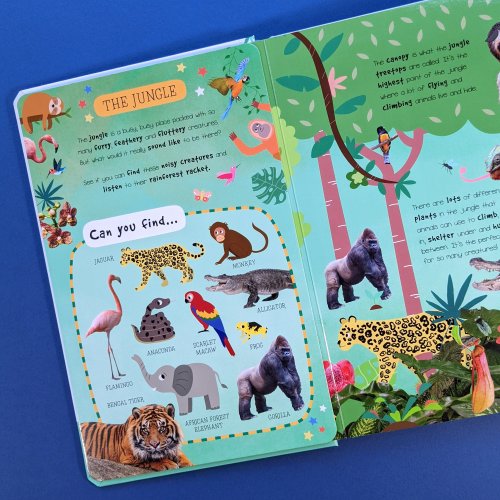 Little Wonders Look & Find Sound Book - Animals