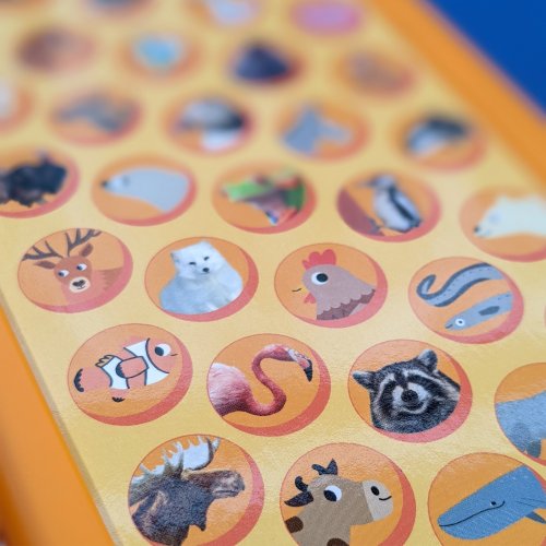 Little Wonders Look & Find Sound Book - Animals