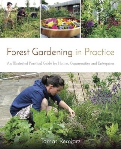 FOREST GARDENING IN PRACTICE
