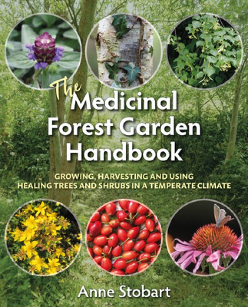 MEDICINAL FOREST GARDEN HANDBOOK, T