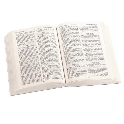 KJV Royal Ruby Text Bible: Blue, Vinyl paperback